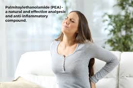 Pain Relief with the anti-inflammatory drug Palmitoylethamolamide