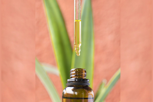 best cbd oil for dogs for sale