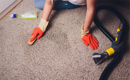 Why should I hire a professional for mold removal?