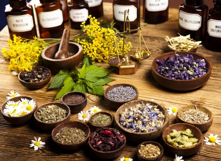 What is The Lost Book of Herbal Remedies?