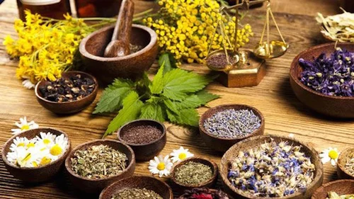 How to Source Ingredients for Remedies from The Lost Book of Herbal Remedies