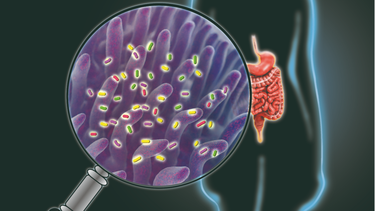 How should the best probiotic for men be stored?