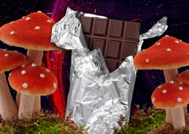 Mushroom Bars: A Trendy Treat Introduction Mushroom Chocolate Bars: Their Emergence