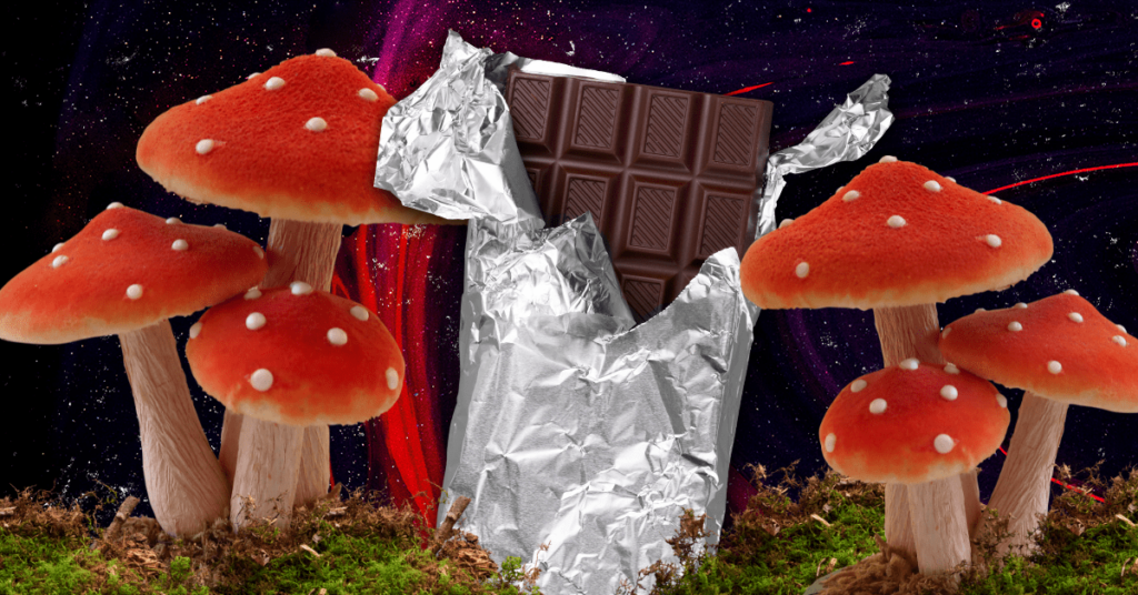 Mushroom Bars: A Trendy Treat Introduction Mushroom Chocolate Bars: Their Emergence